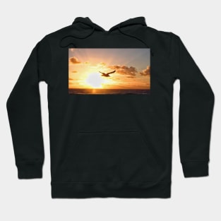 Sunset photobomb by gull Hoodie